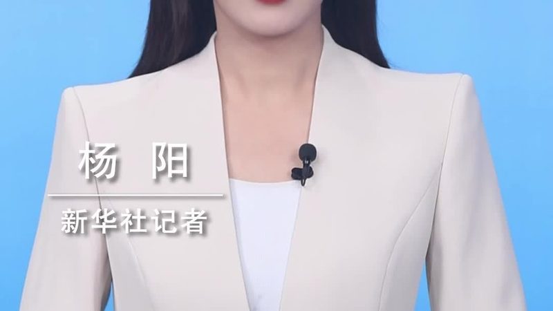 ERP软件二次开发